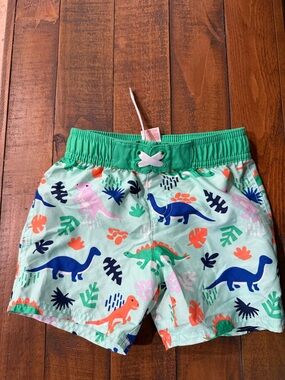 Kids' Dinosaur Swim Trunks in Mint & Green